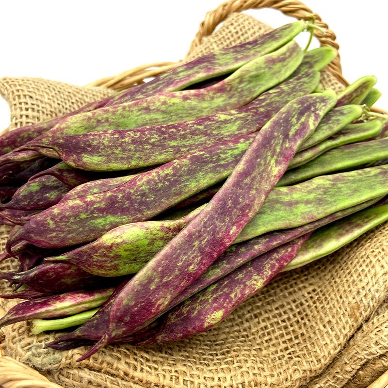 Judías Rojas - Verduras -3- Lo mejor de la fruta