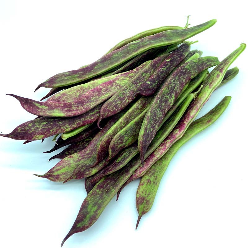 Judías Rojas - Verduras -2- Lo mejor de la fruta