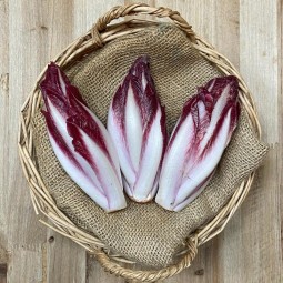 Endivias Rojas - Verduras -1- Lo mejor de la fruta