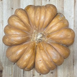 Calabazas Cenicienta - Verduras -1- Lo mejor de la fruta