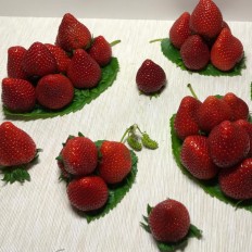 Fresas Selectas - - Fruta de Temporada -3- Lo mejor de la fruta