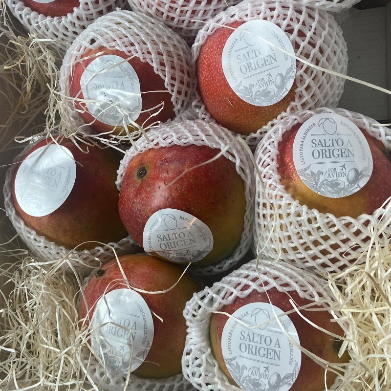 Mango Madurado en planta - Kiwis, Piñas, Aguacate y Tropicales -3- Lo mejor de la fruta
