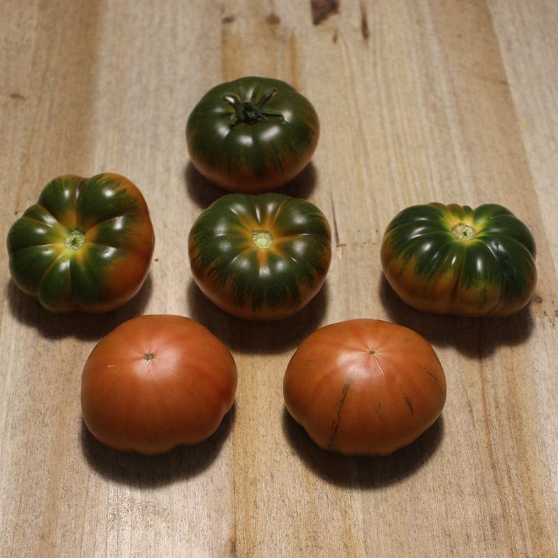 Tomates Raf - Selección de Tomates -3- Lo mejor de la fruta