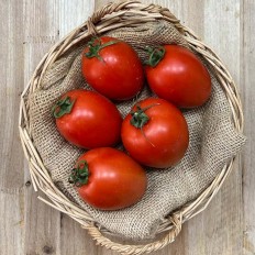 Tomates Pera - - Selección de Tomates -1- Lo mejor de la fruta
