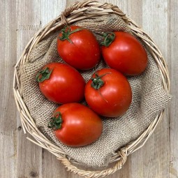 Tomates Pera - Selección de Tomates -1- Lo mejor de la fruta