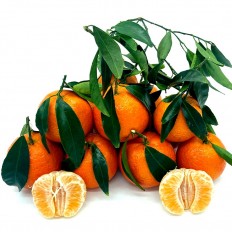 Mandarinas Orri - Cítricos -2- Lo mejor de la fruta