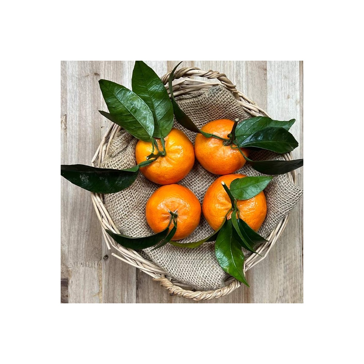 Mandarinas Orri - Cítricos -1- Lo mejor de la fruta