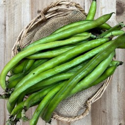 Habas Tiernas - Verduras -1- Lo mejor de la fruta