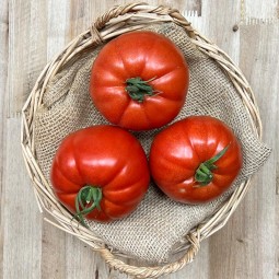 Tomates Huevo de Toro - Selección de Tomates -1- Lo mejor de la fruta