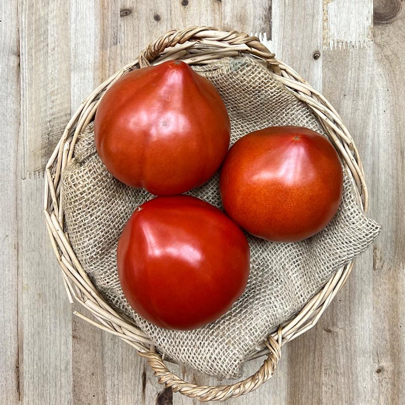Tomate Huevo de Toro - Selección de tomates -3- Lo mejor de la fruta