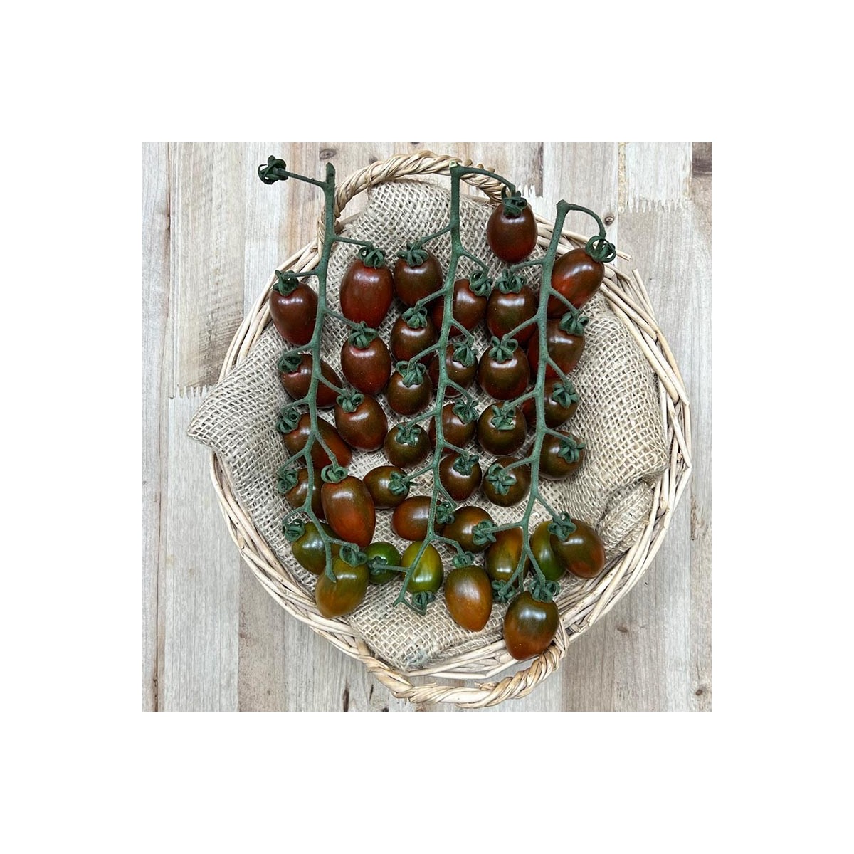 Tomates Cherry Zebra - Selección de Tomates -1- Lo mejor de la fruta