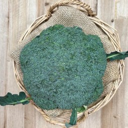 Brócoli Fresco - Verduras -1- Lo mejor de la fruta