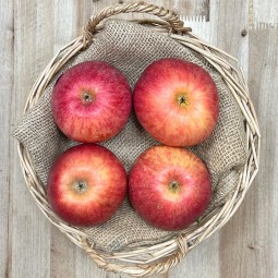 Manzanas Fuji - Manzanas, Peras y Plátanos. -1- Lo mejor de la fruta