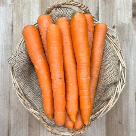 Zanahoria - Verduras -1- Lo mejor de la fruta