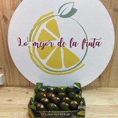 Aguacates Marielita - Tropicales -2- Lo mejor de la fruta