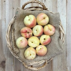 Albaricoques Valencianos - Fruta de Temporada -1- Lo mejor de la fruta