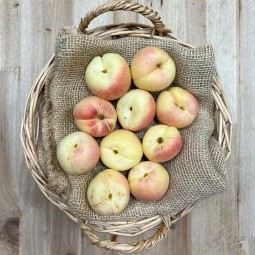 Albaricoques Valencianos - Fruta de Temporada -1- Lo mejor de la fruta
