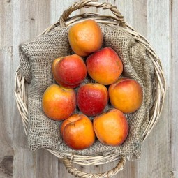 Albaricoques Cebas Red - Fruta de Temporada -1- Lo mejor de la fruta