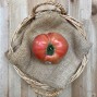 Tomates Rosa De Altea - Selección de Tomates -3- Lo mejor de la fruta