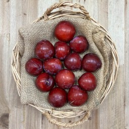 Ciruelas Rojas - Fruta de Temporada -1- Lo mejor de la fruta