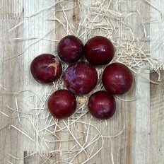 Ciruelas Rojas - Fruta de Temporada -2- Lo mejor de la fruta