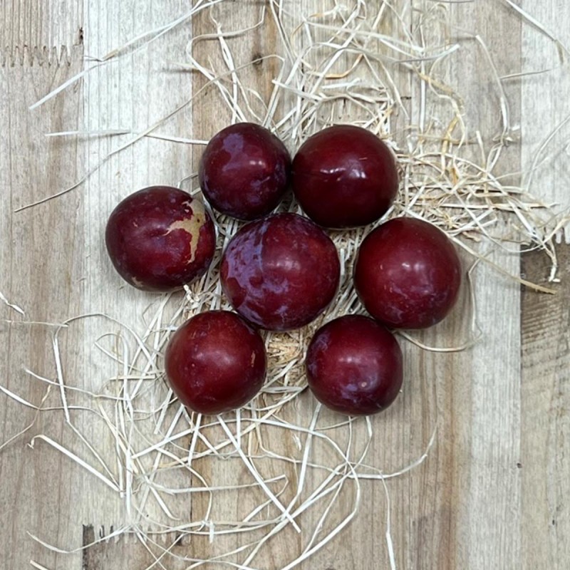 Ciruelas Rojas - Fruta de Temporada -2- Lo mejor de la fruta