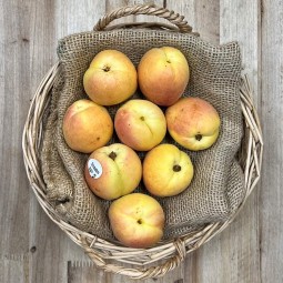 Albaricoques Moniquí - Todas las Frutas -1- Lo mejor de la fruta