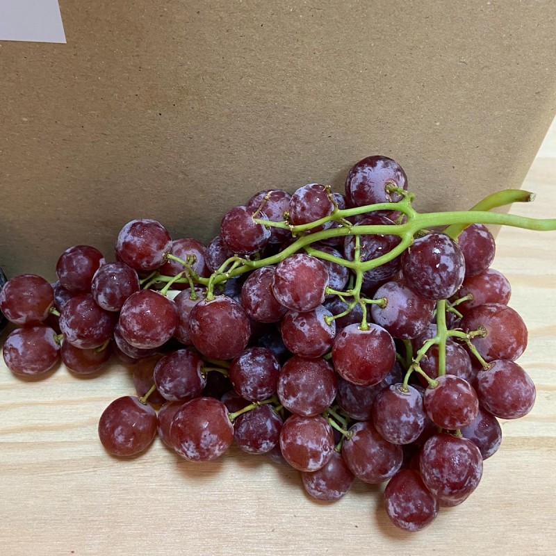 Pack frutas de temporada - - Packs Frutas y Verduras -3- Lo mejor de la fruta