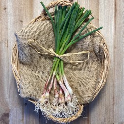 Ajos Tiernos - Patatas, Cebollas y Ajos -1- Lo mejor de la fruta