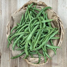 Judías de manteca - Todos Los Productos -1- Lo mejor de la fruta