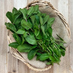 Menta Fresca - Hierbas Aromáticas -1- Lo mejor de la fruta