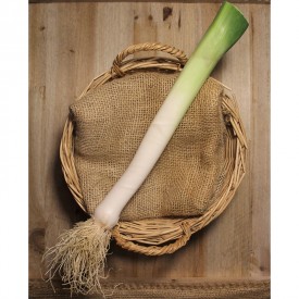 Puerros Tiernos - Verduras -1- Lo mejor de la fruta