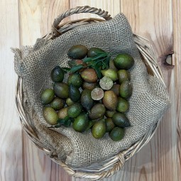 Caviar de limón - Cítricos -1- Lo mejor de la fruta