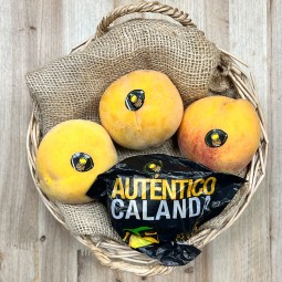 Melocotón de Calanda - Fruta de Temporada -1- Lo mejor de la fruta