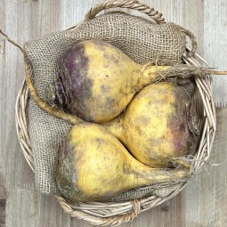 Nabicol - Verduras -1- Lo mejor de la fruta