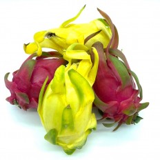 Pitahayas Rojas - Fruta de Temporada -3- Lo mejor de la fruta