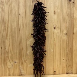 Guindilla seca en ristra. - Todas Las Verduras y Hortalizas -1- Lo mejor de la fruta