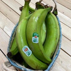 Plátano Macho - Tropicales -2- Lo mejor de la fruta