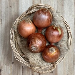 Cebollas Secas - Patatas, Cebollas y Ajos -1- Lo mejor de la fruta