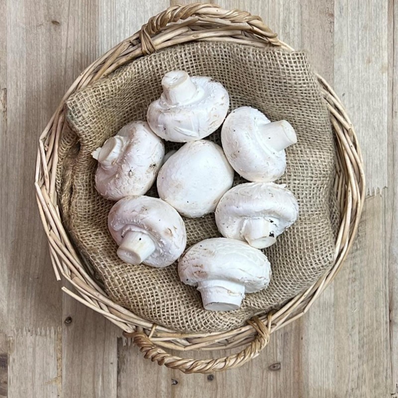 Champiñón Blanco - Setas y hongos -1- Lo mejor de la fruta