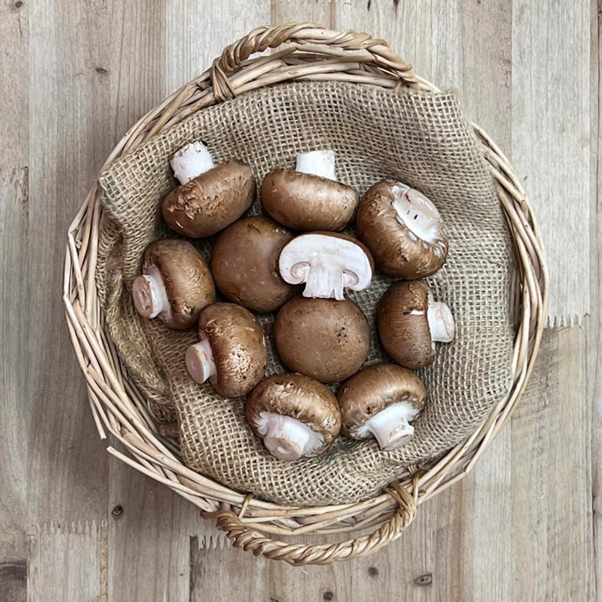 Champiñón Portobello - Setas y hongos -1- Lo mejor de la fruta