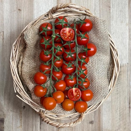 Tomates Cherry Rama - - Selección de Tomates -1- Lo mejor de la fruta