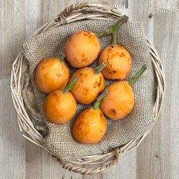 Nísperos Extra - Fruta de Temporada -1- Lo mejor de la fruta