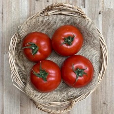 Tomate Daniela - Selección de tomates -1- Lo mejor de la fruta