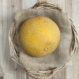 Melón Galia - Fruta de Temporada -1- Lo mejor de la fruta