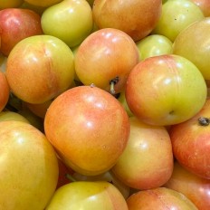 Ciruelas Mayeras - Fruta de Temporada -3- Lo mejor de la fruta