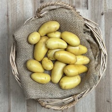 Patatas Mini - - Patatas, Cebollas y Ajos -1- Lo mejor de la fruta
