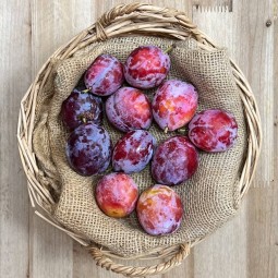 Ciruelas huevo de toro - Fruta de Temporada -1- Lo mejor de la fruta