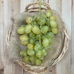 Uva De Mesa - Fruta de Temporada -1- Lo mejor de la fruta