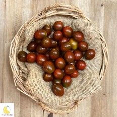 Tomates Cherry Chocolate - Selección de Tomates -1- Lo mejor de la fruta